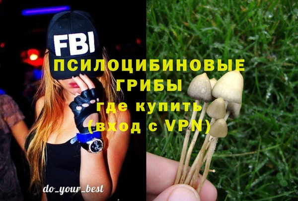 соль курить ск Ладушкин