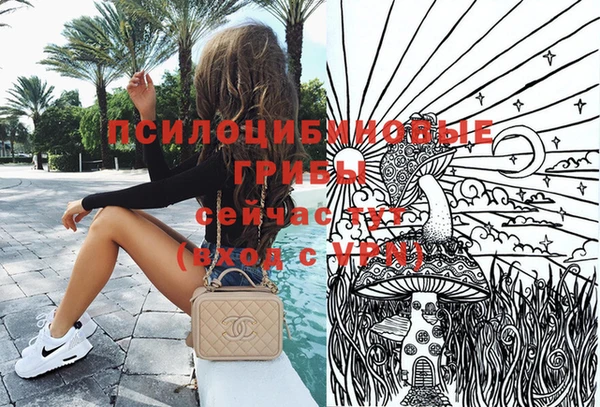 соль курить ск Ладушкин