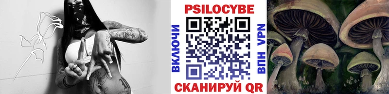 Купить закладки  Ангарск  Псилоцибиновые грибы Magic Shrooms