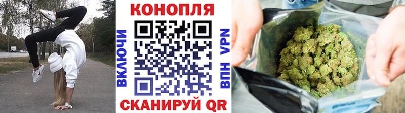 Бошки Шишки гибрид  Купить закладки  Ангарск 